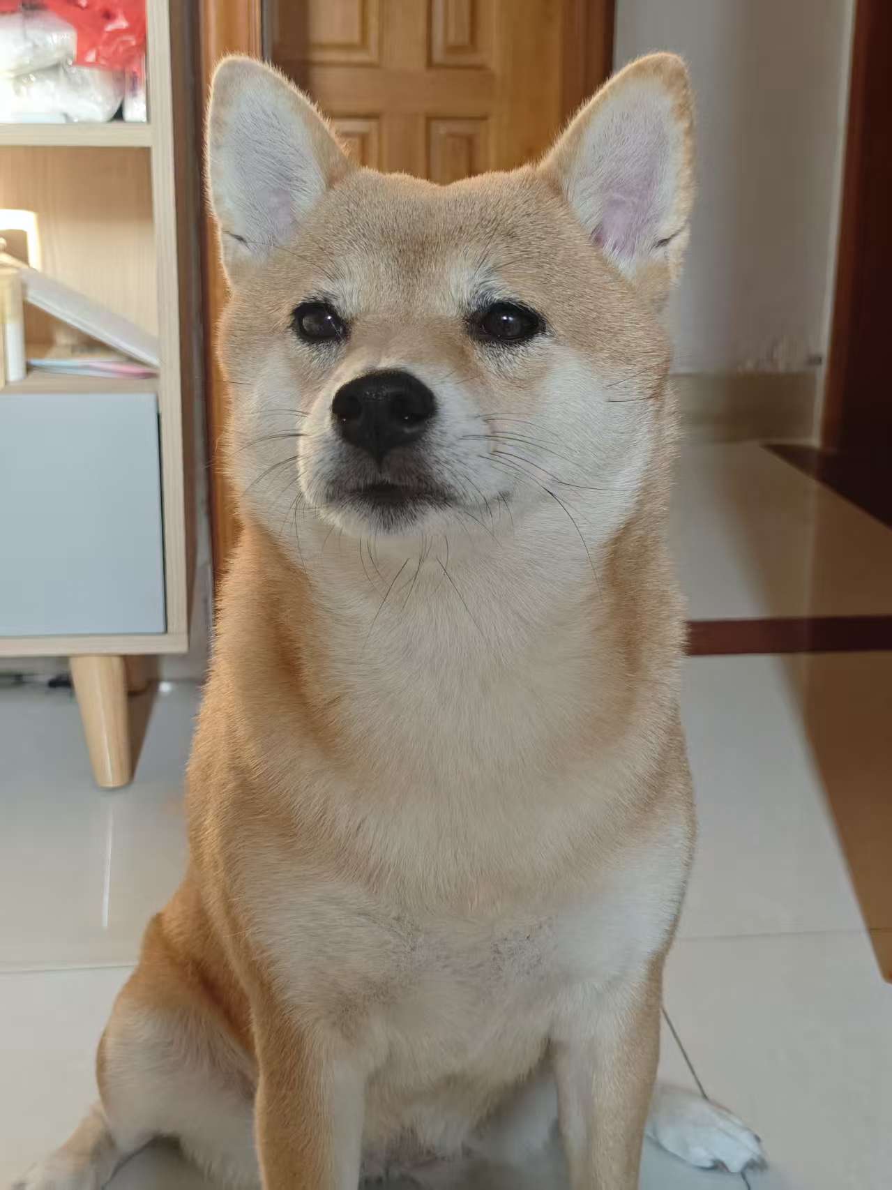 035bcde91a71e04d46b3b8df4b8a8153