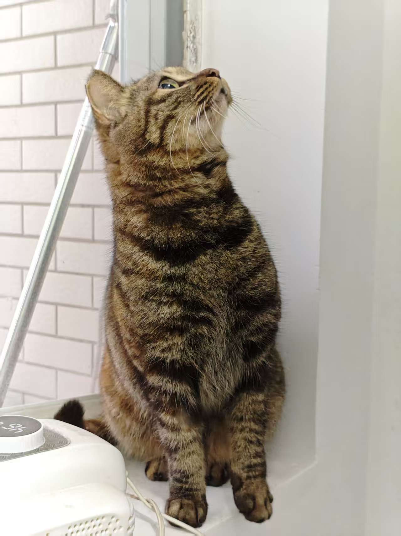 42d105a377c5e1cf78833cb2d49153ec