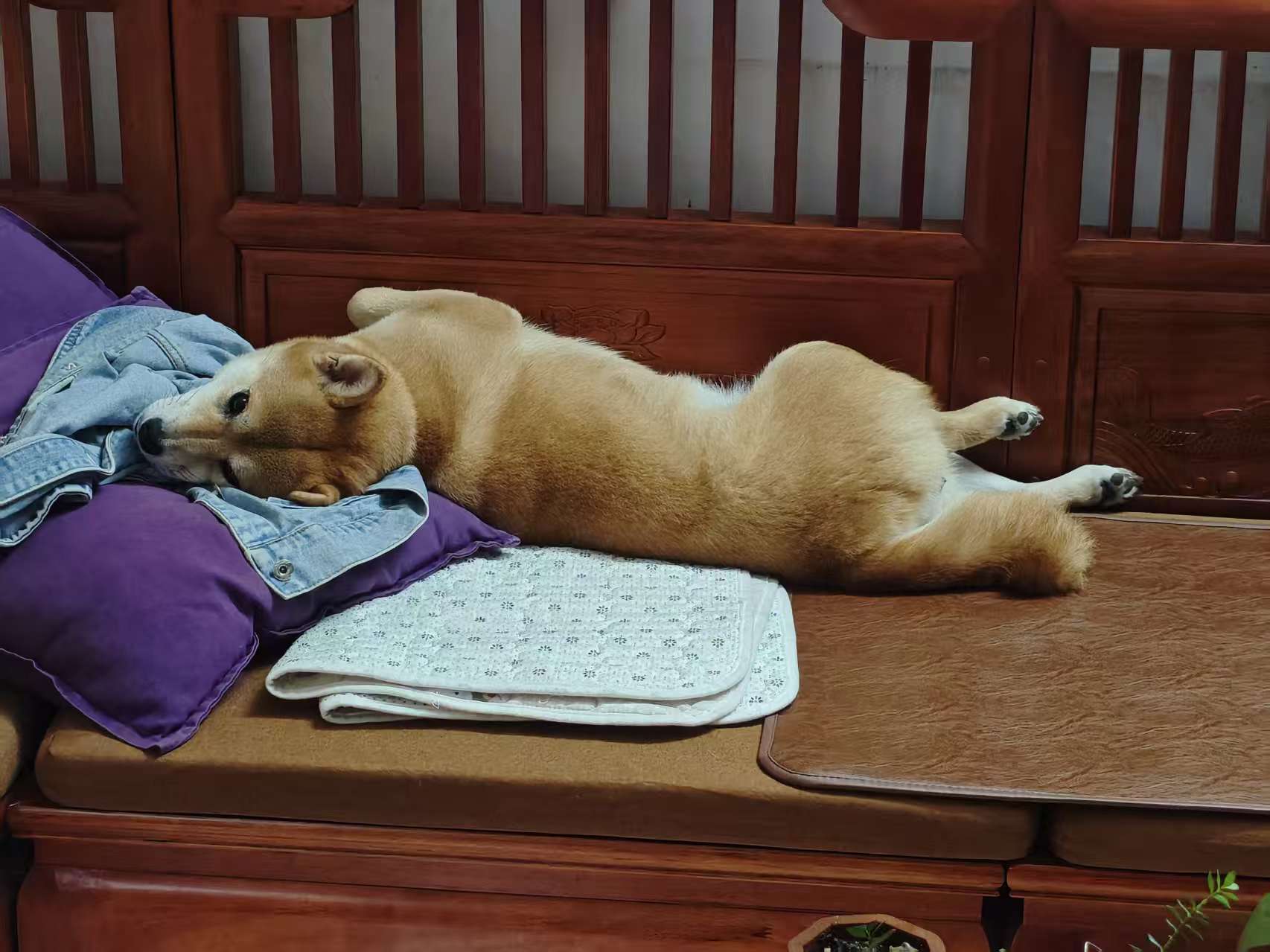 d626d88583a09905b5a41c98aba9edc6