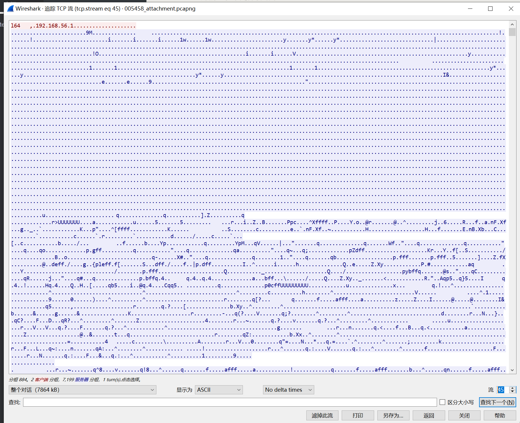 image-20260202011736652